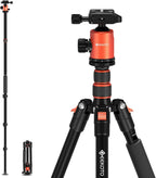 Trípode de 77 pulgadas, trípode de cámara para DSLR, trípode de aluminio compacto con cabezal de bola de 360 grados y carga de 17.6 lbs para viajes y trabajo