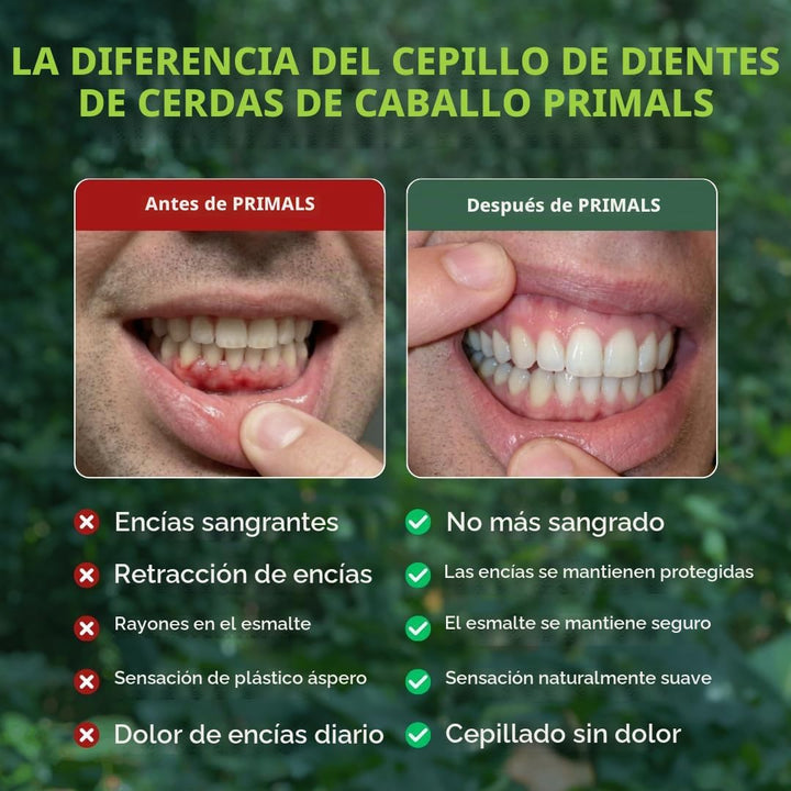 PRIMALS Cepillo de dientes de cerdas de caballo y bambú (paquete de...