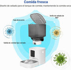 Comedero automático para gatos, dispensador de alimentos