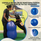 Pelota de cacahuete para perros para fitness y rehabilitación canina para razas pequeñas, medianas y grandes, equipo de ejercicio antiestallido para fortalecer el núcleo, entrenamiento de equilibrio, estabilidad de las piernas traseras (pequeño, para pier