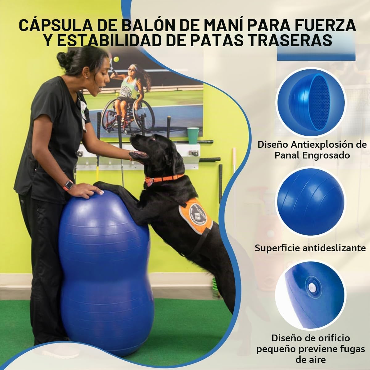 Pelota de cacahuete para perros para fitness y rehabilitación canina para razas pequeñas, medianas y grandes, equipo de ejercicio antiestallido para fortalecer el núcleo, entrenamiento de equilibrio, estabilidad de las piernas traseras (pequeño, para pier