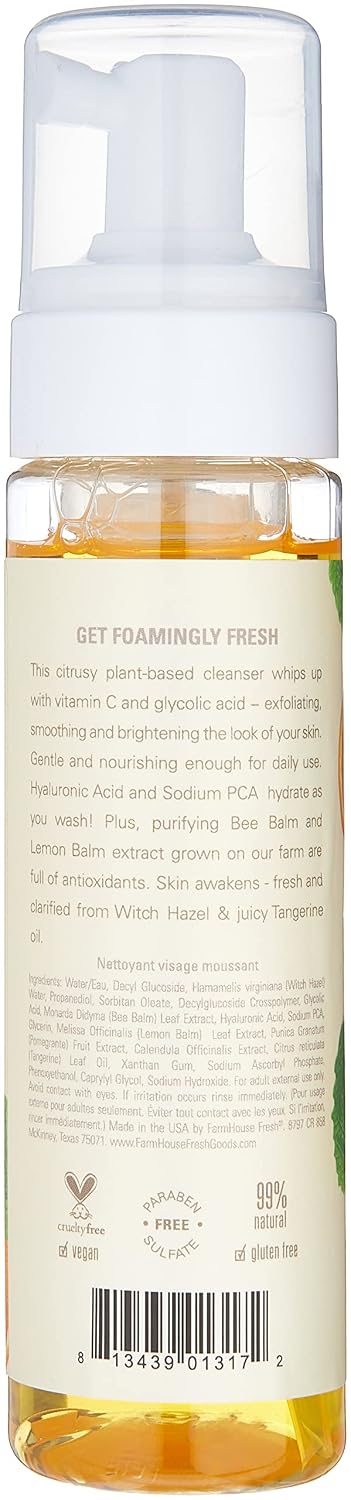 FarmHouse Fresh Jabón facial espumoso, limpiador. Ácido hialurónico...