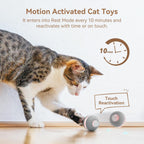 Cheerble Juguetes interactivos para gatos de interior, juguete automático para gatos de interior aburridos, juguetes eléctricos para gatitos con luz, juguetes estimulantes en movimiento, gris
