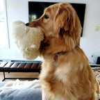 Snuggle - Juguete de latido del corazón para cachorros, comodidad relajante
