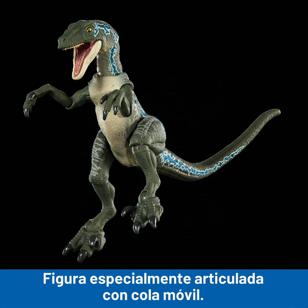 Mattel Jurassic World Hammond Collection - Figura de acción de dinosaurio, velociraptor 'azul' dinosaurio juguete con articulación