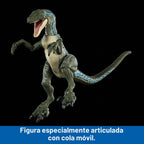 Mattel Jurassic World Hammond Collection - Figura de acción de dinosaurio, velociraptor 'azul' dinosaurio juguete con articulación