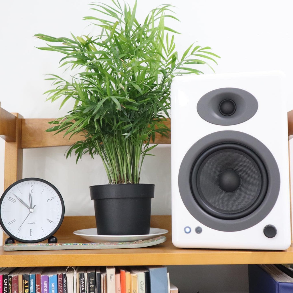 Altavoces inalámbricos Audioengine A5+ para estantería - Altavoces