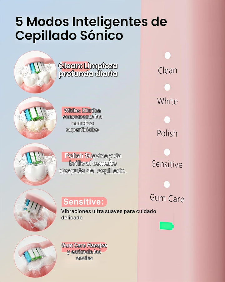 Kit de cuidado dental profesional mejorado: irrigador dental de 5 m...