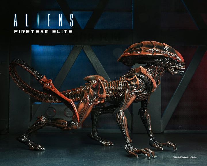 NECA - Aliens Fireteam Elite - Figura de acción a escala 7" - A...