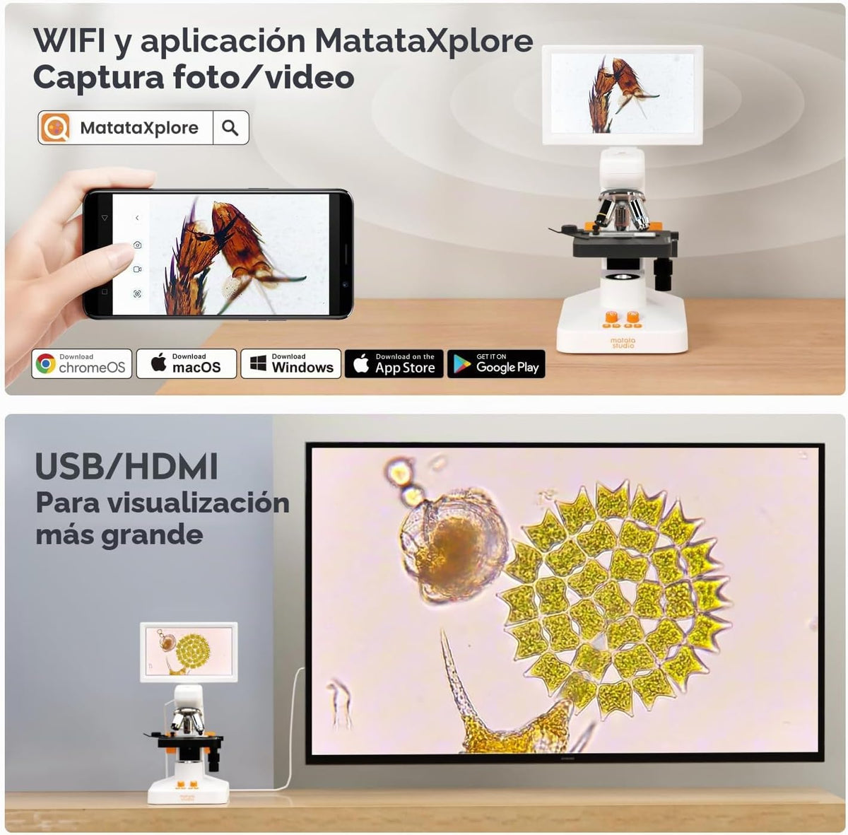 Microscopio digital MT3-4 1200X USB, pantalla de 7" para niños