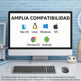 SHUNJINRUN Ratón inalámbrico silencioso compacto ultrafino ComboIro...