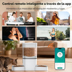Alimentador automático para gatos de 6 litros para 2 gatos, control de