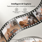 PETLIBRO Comedero automático para gatos con cámara para dos gatos, video HD 1080P con visión nocturna, alimentador WiFi 5G para mascotas con audio de 2 vías para gatos y perros