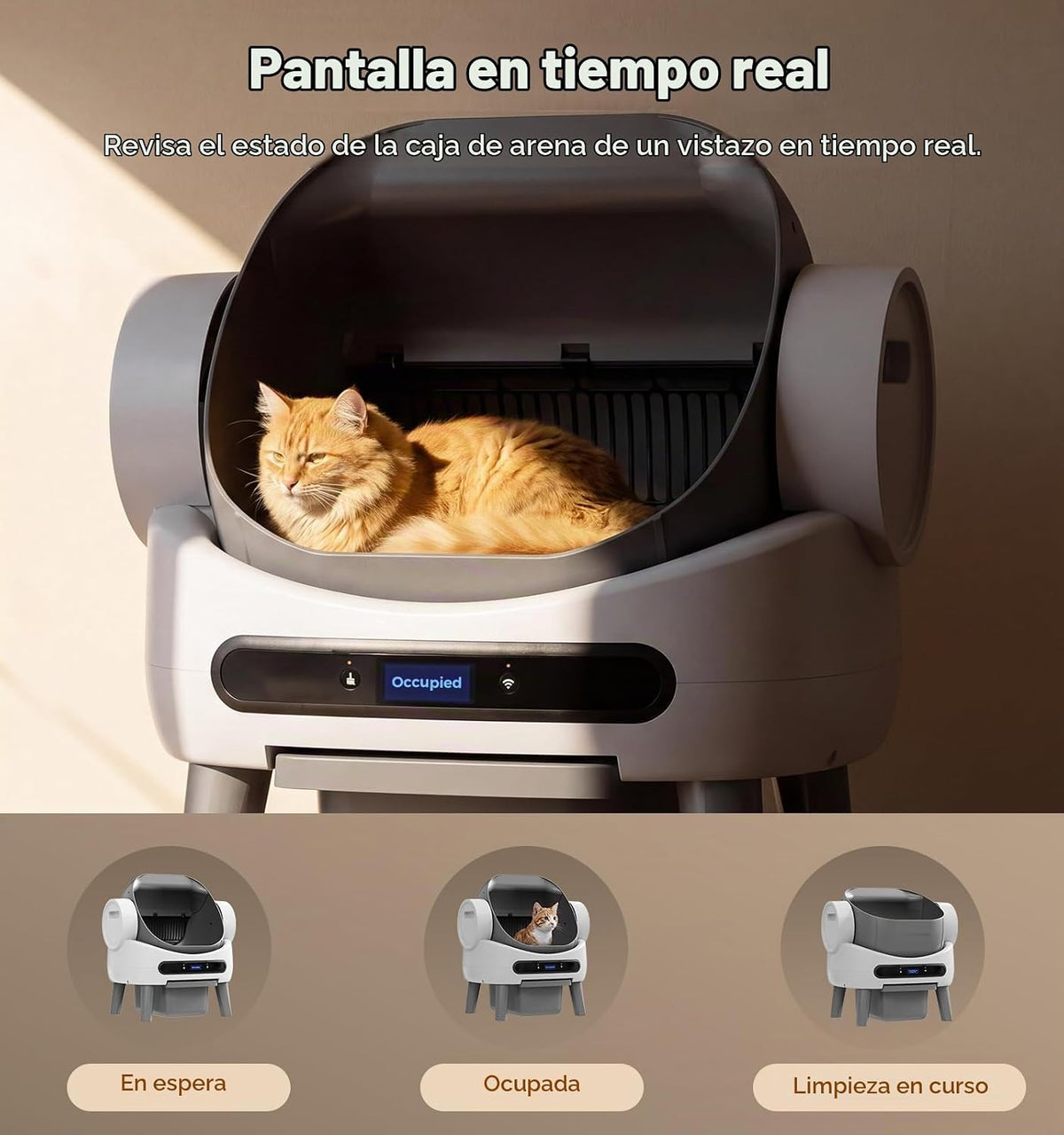 Caja de arena automática, caja de arena de autolimpieza superior abierta