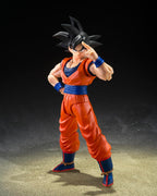 TAMASHII NATIONS - Dragon Ball Z - Son Goku, Son Goku (el Saiyajin de buen corazón)
