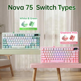 Teclado mecánico inalámbrico Aula Nova75 de 8000 mAh, montaje en ju...