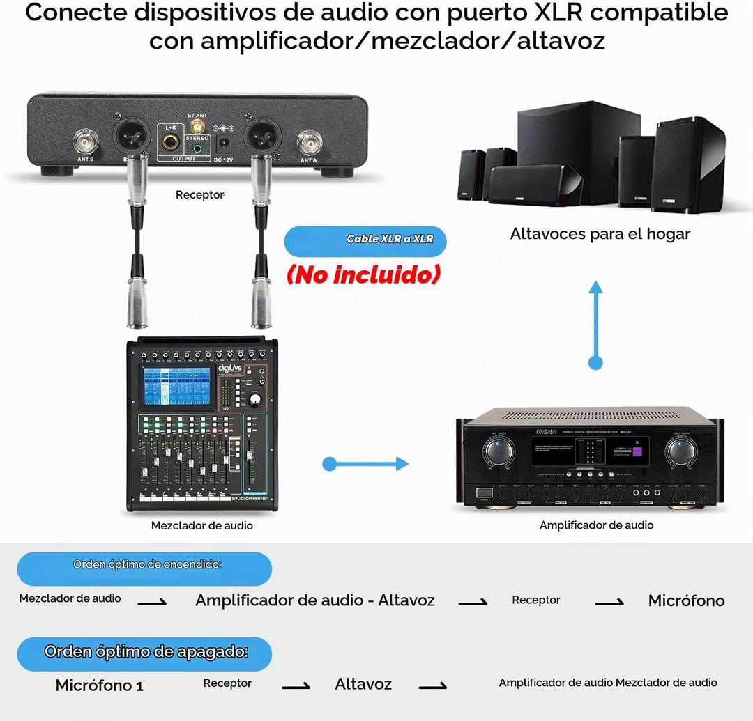 Bietrun Micrófono inalámbrico, sistema de micrófono dinámico inalám...