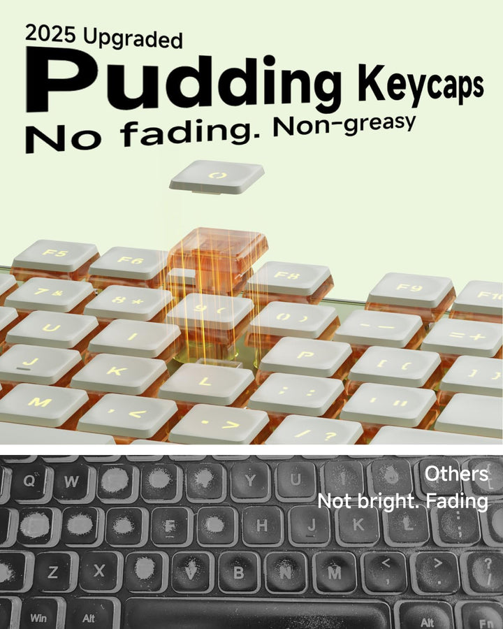 SEUNKWANG EWEADN GX710S Teclados Retroiluminados para Computadora,...