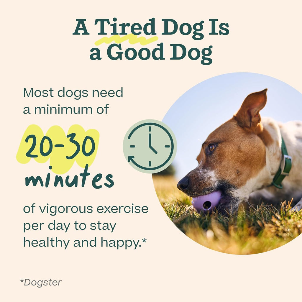 WOOF Walkabout - Rompecabezas para perros, juguete de alimentación lenta