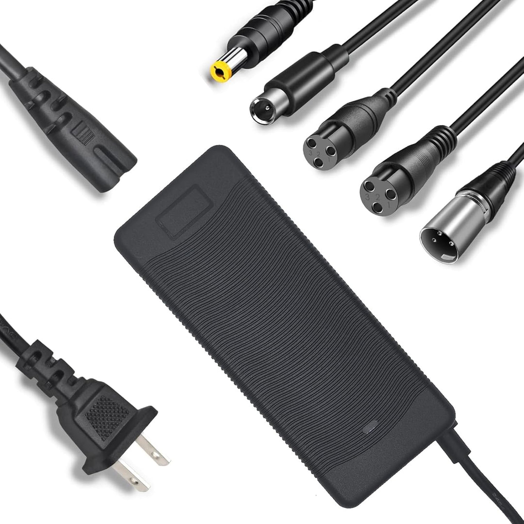 Cargador eléctrico de bicicleta de 48 V 546 V 2 A rápido