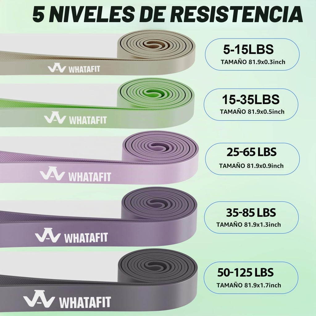 WHATAFIT Resistance Bands, Bandas de Asistencia para Dominadas de 5 Niveles para Entrenamiento