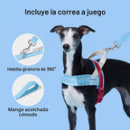 VETRESKA Juego de arnés y correa para perro, arnés ajustable para mascotas