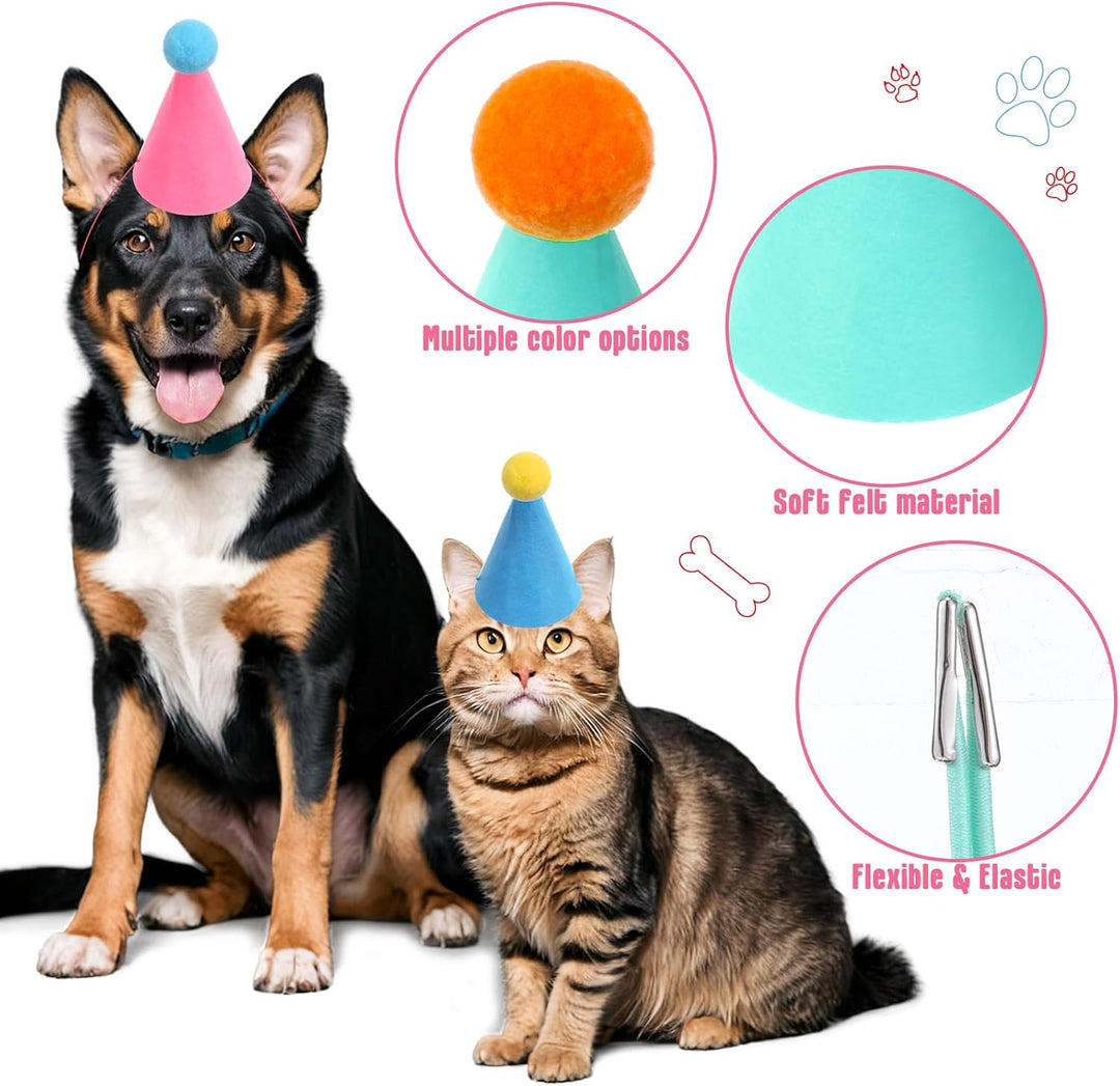 6 sombreros de cumpleaños pequeños para animales de
