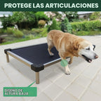 FXW TitanNest Cama Elevada para Perro Grande con Enfoque en Refrigeración y a Prueba de Masticación