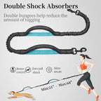 Correa para perro manos libres con bolsa con cremallera, doble asa acolchada y bungee duradero para caminar, trotar y correr con tu perro (Mediano, 3.6-11.3 kg, Negro)