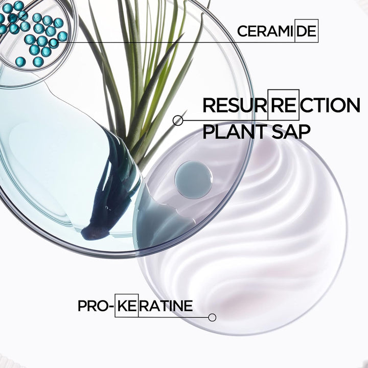 Champú Kerastase Resistance Force Architecte - Champú Reconstructiv...