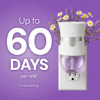 Air Wick - Recambios para enchufar, lavanda y manzanilla, aceites