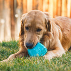 Ruffwear, Gnawt--Rock, juguete interactivo para perros, naranja salamandra