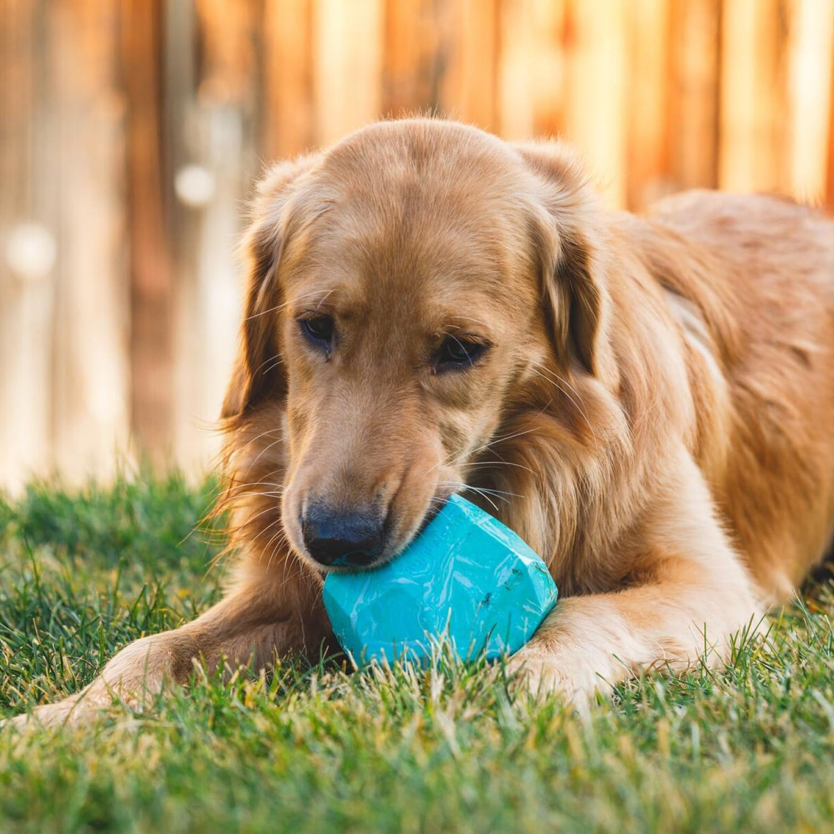 Ruffwear, Gnawt--Rock, juguete interactivo para perros, naranja salamandra