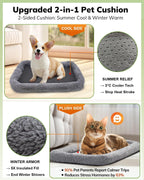 Morpilot - Transportador suave para gatos grandes y medianos y cachorros de