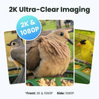 Birdfy 2 cámaras dúo alimentador de pájaros, 2 cámaras 3 vistas