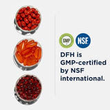 Designs for Health Primal Multi - Suplemento multivitamínico apto p...