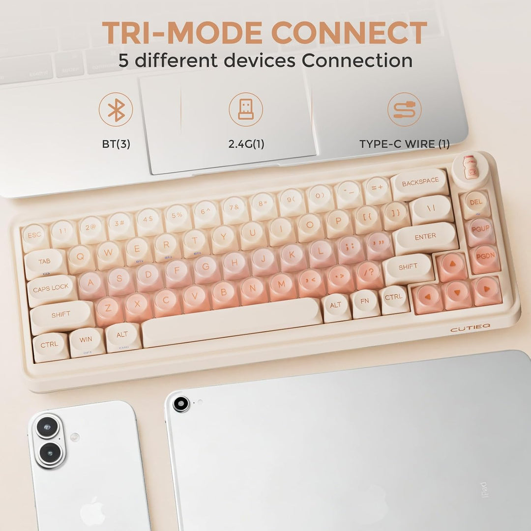DAREU Teclado mecánico inalámbrico 65% de 68 teclas, teclas Jelly,...