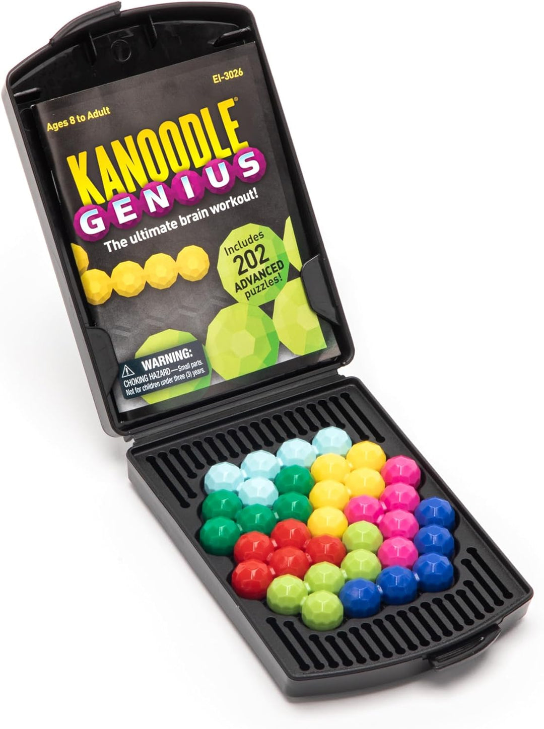 Kanoodle Ganius de Educational Insights