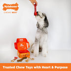 Nylabone - Caja de regalo para perros, juguetes masticables fuertes y
