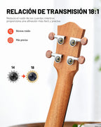 Donner Kit de ukelele para concierto, de madera de caoba y 23 pulgadas, principiante, con clase en línea gratuita, bolsa de actuación, correa, cuerda de nailon, afinador, púas, paño de limpieza, DUC-1