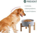 Cuenco de cerámica elevado y elevado para perros de razas pequeñas y medianas, cuenco de agua con soporte, plato de alimentación pesado antideslizante de 6 pulgadas, 3.6 tazas, 28.7 fl oz, 28