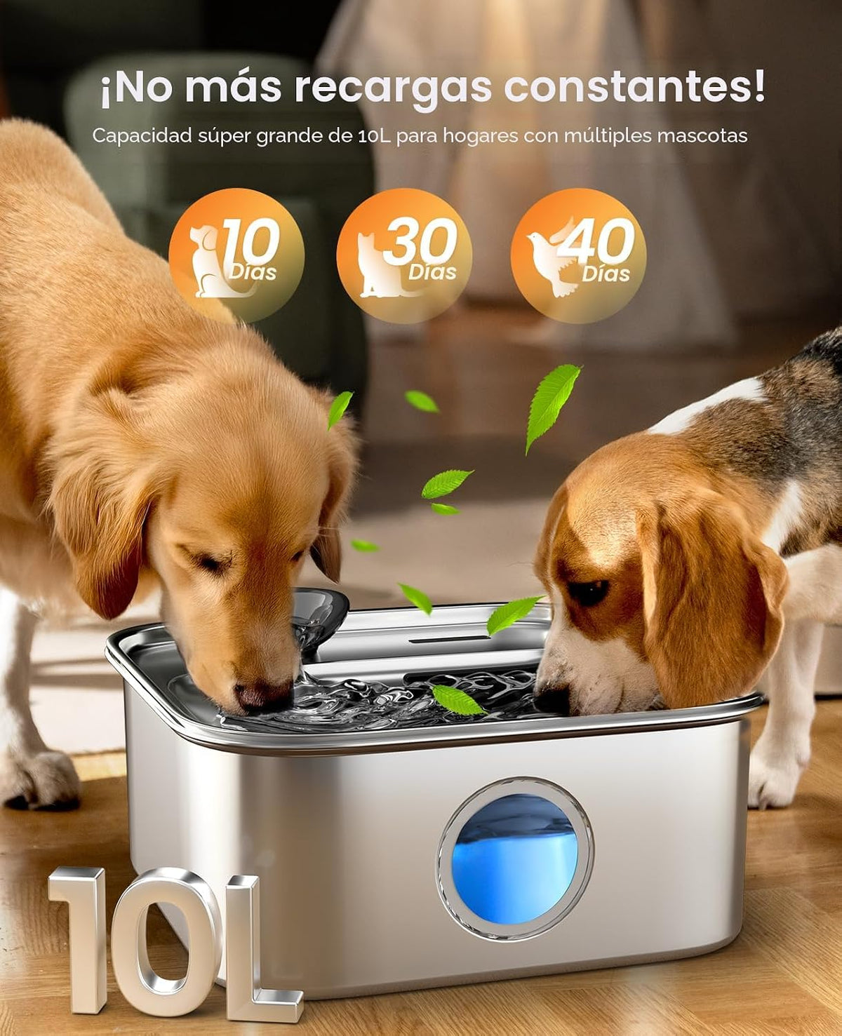 oneisall 10L/2.6Gal Fuente de Agua para Perros para Perros Grandes (con 2 Filtros)