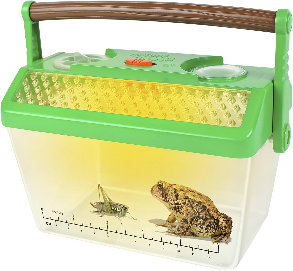 Set de hábitat para insectos y ranas Nature Bound con luz