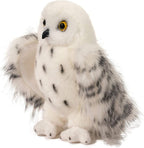 Asistente Snowy Owl