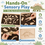 Kit de excavación arqueológica de excavación de dinosaurios, kit de excavación de fósiles para niños, esqueletos de dinosaurios, huesos y rompecabezas con caja de almacenamiento de madera, juguetes STEM para niños y niñas (Stegosaurus)