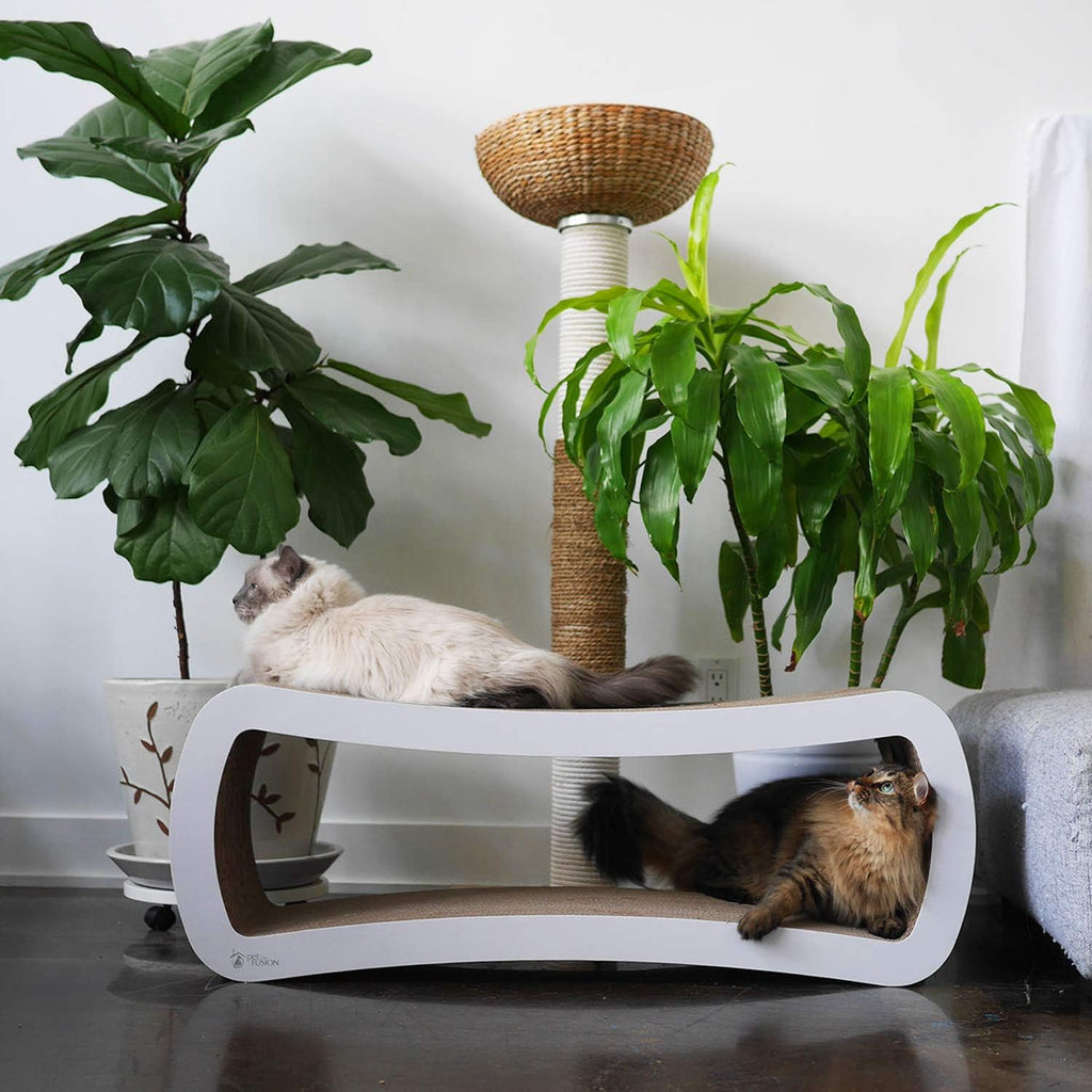 PetFusion - Camastro rascador para gatos, gigante, blanco, 39 x 11 x 14 pulgadas (largo x ancho x alto), 4 superficies de cartón, 2 niveles, para arañar/jugar/reposar/ocultarse, 100% cartón reciclable