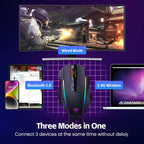 RisoPhy Ratón inalámbrico para juegos, 3 modos 2.4G/USB-C/Bluetooth con