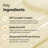 Torriden SOLID In Ceramide Lip Essence 0.37 onzas líquidas x 2 (paq...