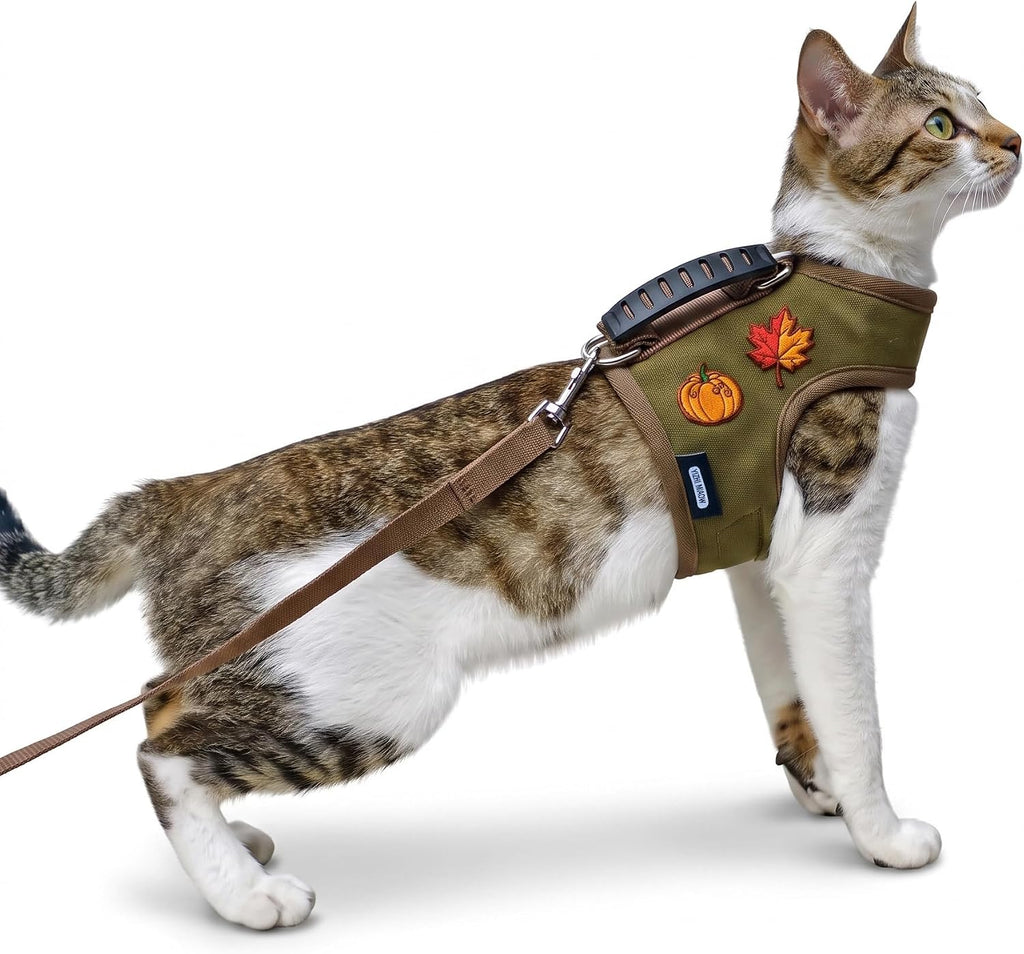Juego de arnés y correa para gatos para caminar, color verde profundo, XXL
