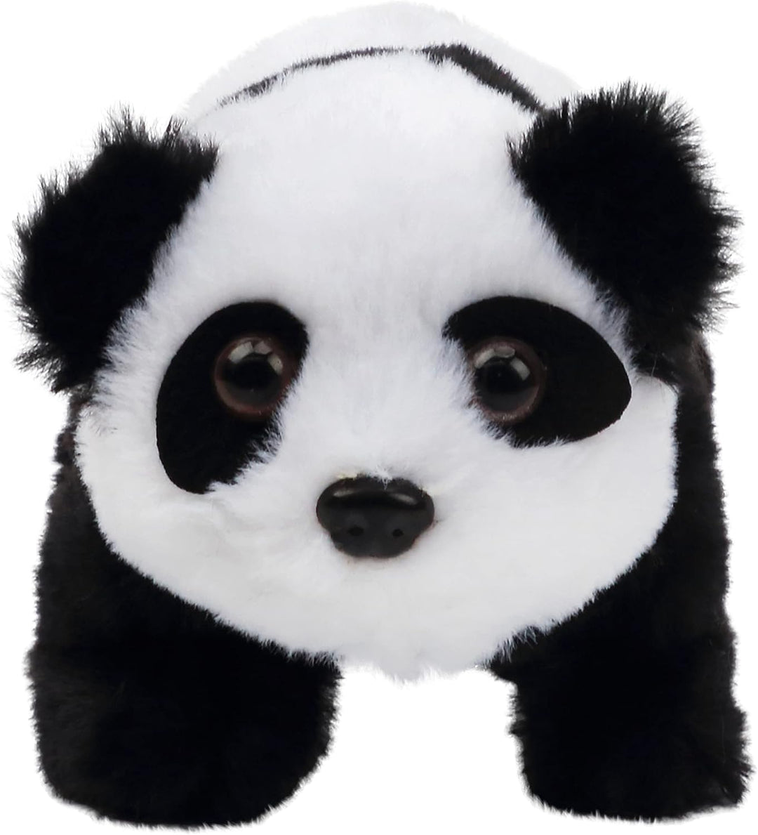 Hopearl Crawling Panda - Juguete electrónico interactivo de peluche...
